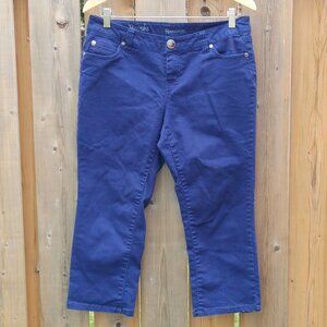 Attractive Ricki's Revolution Capri Pants Brook Capri Size 28